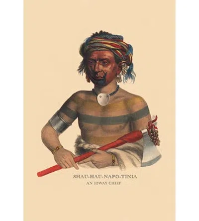 Buyenlarge Shau-hau-napo-tinia (and Ioway Chief) By Mckenney And Hall Painting Print In Brown;gray