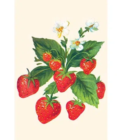 Buyenlarge 'strawberries And Flowers' Painting Print In Green;red