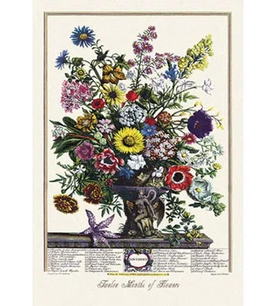 Buyenlarge Twelve Months Of Flowers Graphic Art In Green;beige