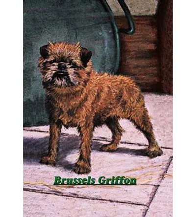 Buyenlarge 'typical Brussels Griffon Champion' Painting Print In Blue;brown;pink