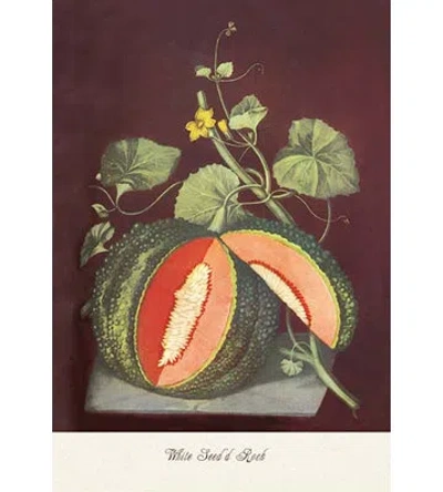 Buyenlarge Watermelon Graphic Art In Green;red;pink