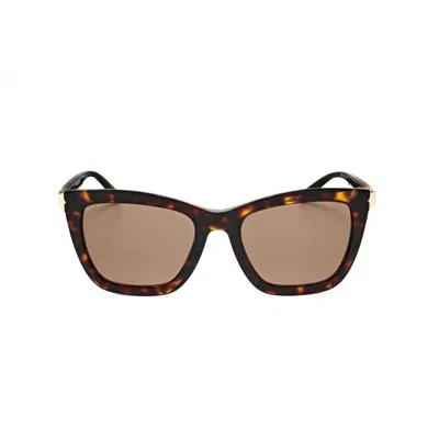 Bvlgari Brown Cat Eye Ladies Sunglasses Bv8233 504/73 54 In ["brown"]