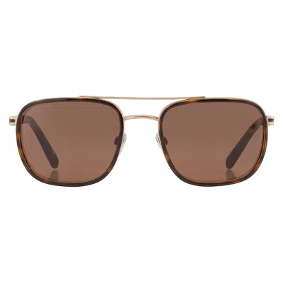 Bvlgari Brown Navigator Men's Sunglasses Bv5053 202253 56 In Brown / Gold
