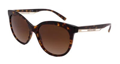 Bvlgari Bv8249-504/13-56-18-145 In Brown