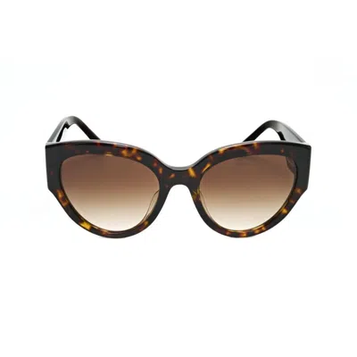 Bvlgari Ladies Brown Oval Sunglasses Bv8258f 504/13 55