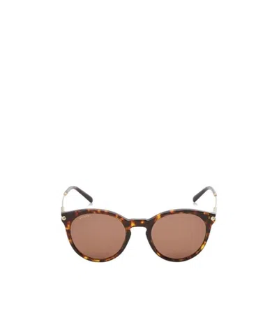Bvlgari Round Sunglasses In Brown