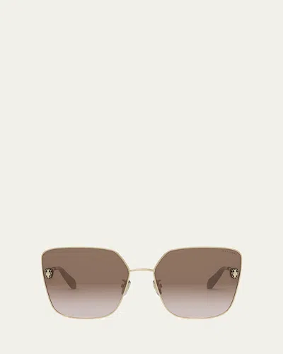 Bvlgari Serpenti Butterfly Sunglasses In Brown