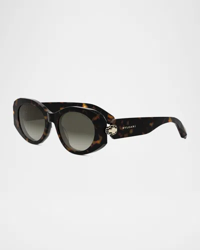 Bvlgari Serpenti Oval Sunglasses In Dark Havana Gradient Brown