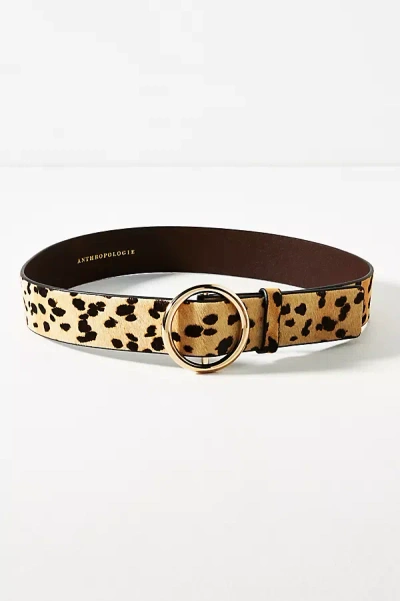 By Anthropologie Adjustable Ring Belt In Multicolor