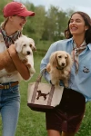 By Anthropologie Beaded Canvas Tote In Brown