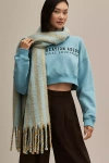 By Anthropologie Brushed Woven Scarf: Vertical Stripe Edition In Blue
