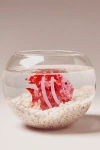 By Anthropologie Fish Claw Clips, Set Of 3 In Pink