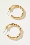 By Anthropologie Metal Bamboo Hoop Earrings In Gold