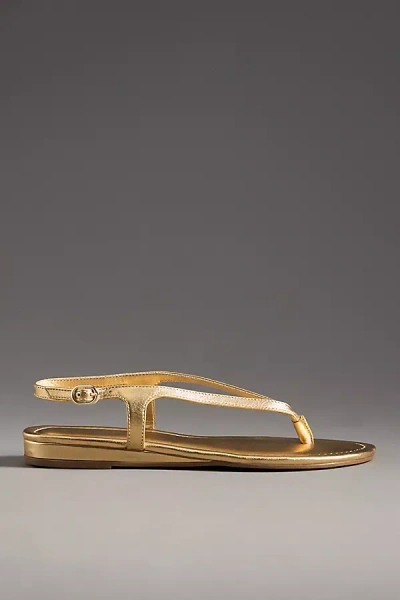 By Anthropologie Microwedge Thong Sandals In Gold