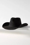 BY ANTHROPOLOGIE SPARKLE SUEDE RANCHER HAT