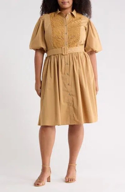 By Design Cordelia Lace Front Poplin Shirtdress In Multi