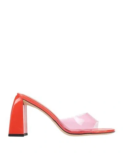 By Far Pantolette Michele In Transparent