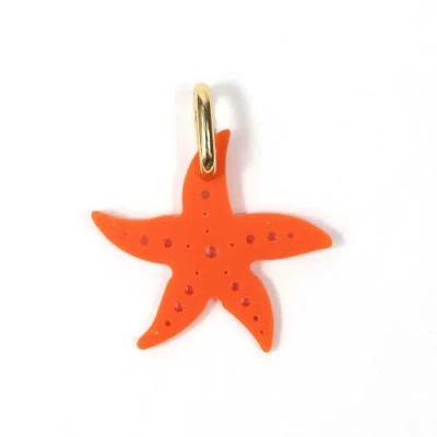 By Lilla Starfish Jewelry Charm In Brown