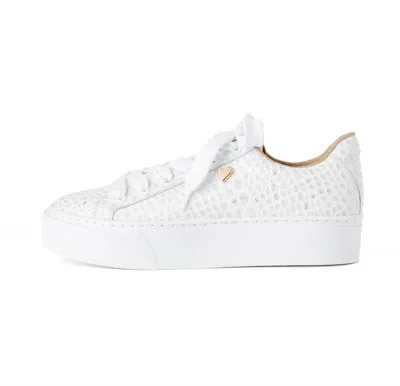 By Nataly Mendez Women's Carmina Sneakers In White Silver In Multi