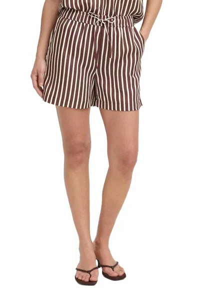 B.young Striped Regular Fit Shorts In French Roast In Brown
