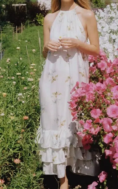 Bytimo Viscose Halterneck Dress In White Floral