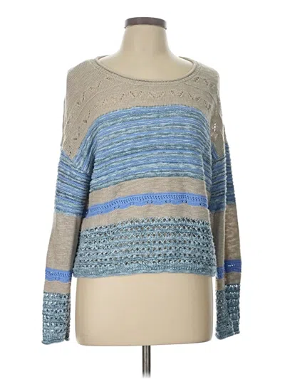 Pre-owned C&c California Pullover Sweater In Blue