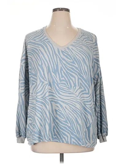 Pre-owned C&c California Pullover Sweater In Blue