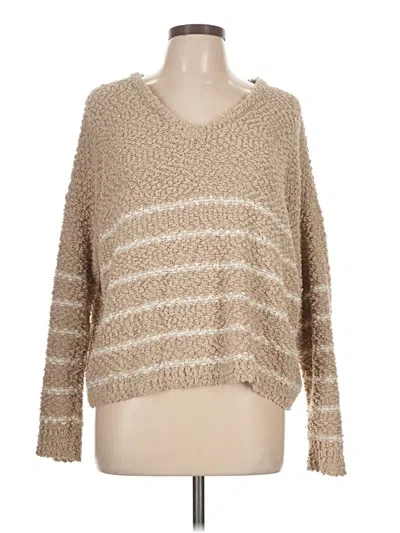 Pre-owned C&c California Pullover Sweater In Brown