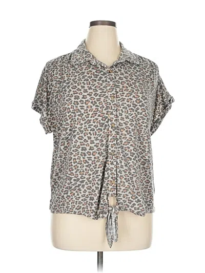 Pre-owned C&c California Short Sleeve Blouse In Gray