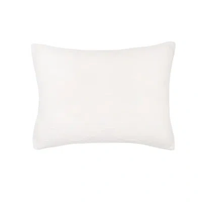 C & F Home Elaine Dove Cotton Sham In White