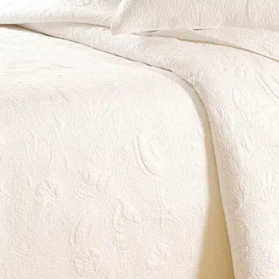 C & F Home Ivory Cotton Reversible Modern & Contemporary Quilt