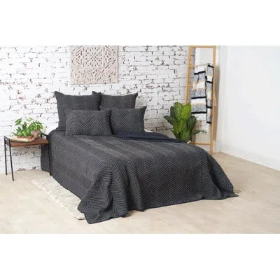 C & F Home Jackson Black Cotton Reversible Quilt