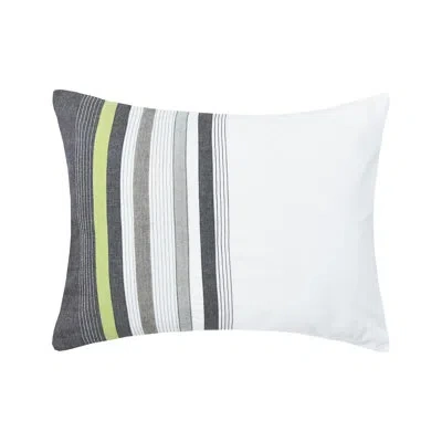 C & F Home Jones Cotton Standard Sham