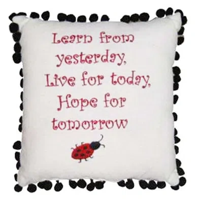 C & F Home Learn From Yesterday Embroidered Pillow In Beige;pink