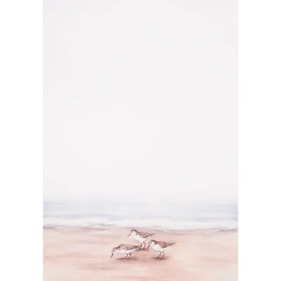 C & F Home C&f Home Sandpiper Coastal Shores 100% Cotton Graphic Print Handtowel In Neutral