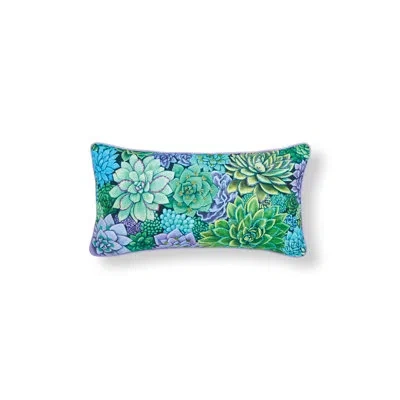 C & F Home Succulent Garden Printed & Embellished Throw Pillow