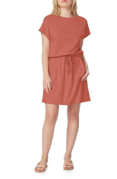 C&c California Barbara Dolman Sleeve Pocket Jersey Dress In Bruchetta