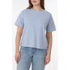 C&c California C & C California Toni Floral Embroidered Sleeve Boxy Cotton T-shirt In Eventide
