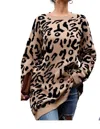 C+d+m Leopard Print Sweater In Multi