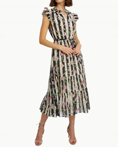 CABALLERO CLAUDIA DRESS IN STRIPE VINE