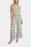 Caballero Isabelle Lace Top In Ivory Black In White