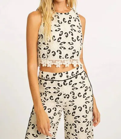 Caballero Isabelle Lace Top In Ivory/black In White