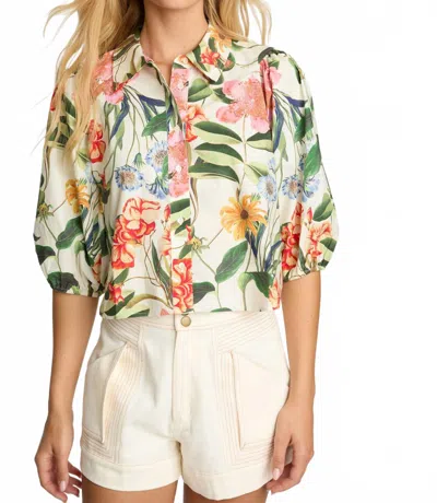 Caballero Juliette Top In Buttercream Floral In Multi