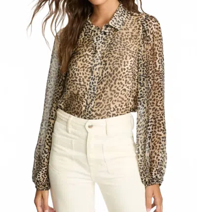 Caballero Presley Long Sleeve Blouse In Golden Leopard In Animal Print