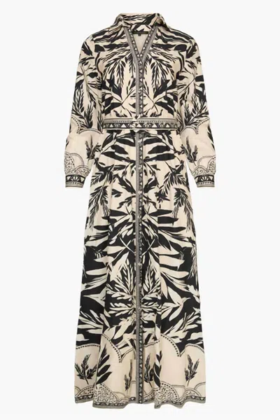 Caballero Women's Talia Dress In Ambergrain In Black