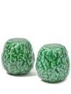 Cabana Magazine Vine Leaf Salt And Pepper Set In Green