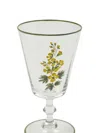 Cabana Murano Primrose Hand-painted Water Glass In Transparent