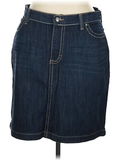 Pre-owned Cabela's Denim Skirt In Blue