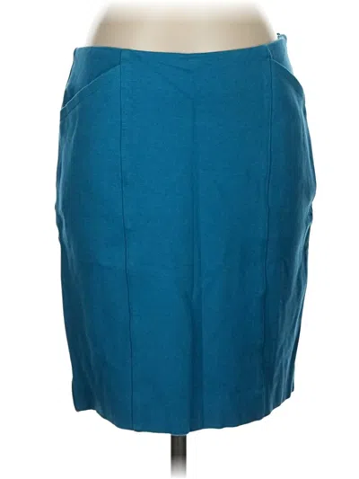 Pre-owned Cabi Casual Skirt In Blue