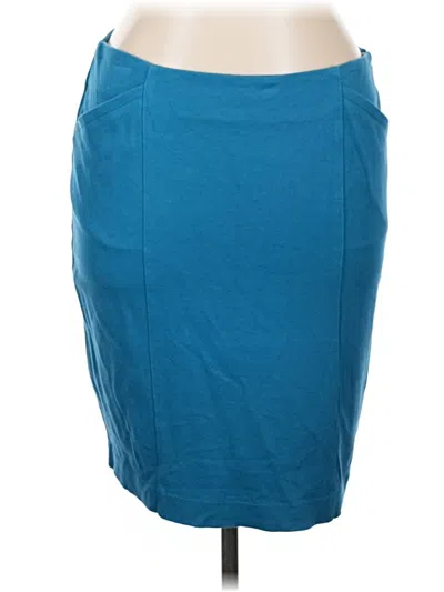 Pre-owned Cabi Casual Skirt In Blue